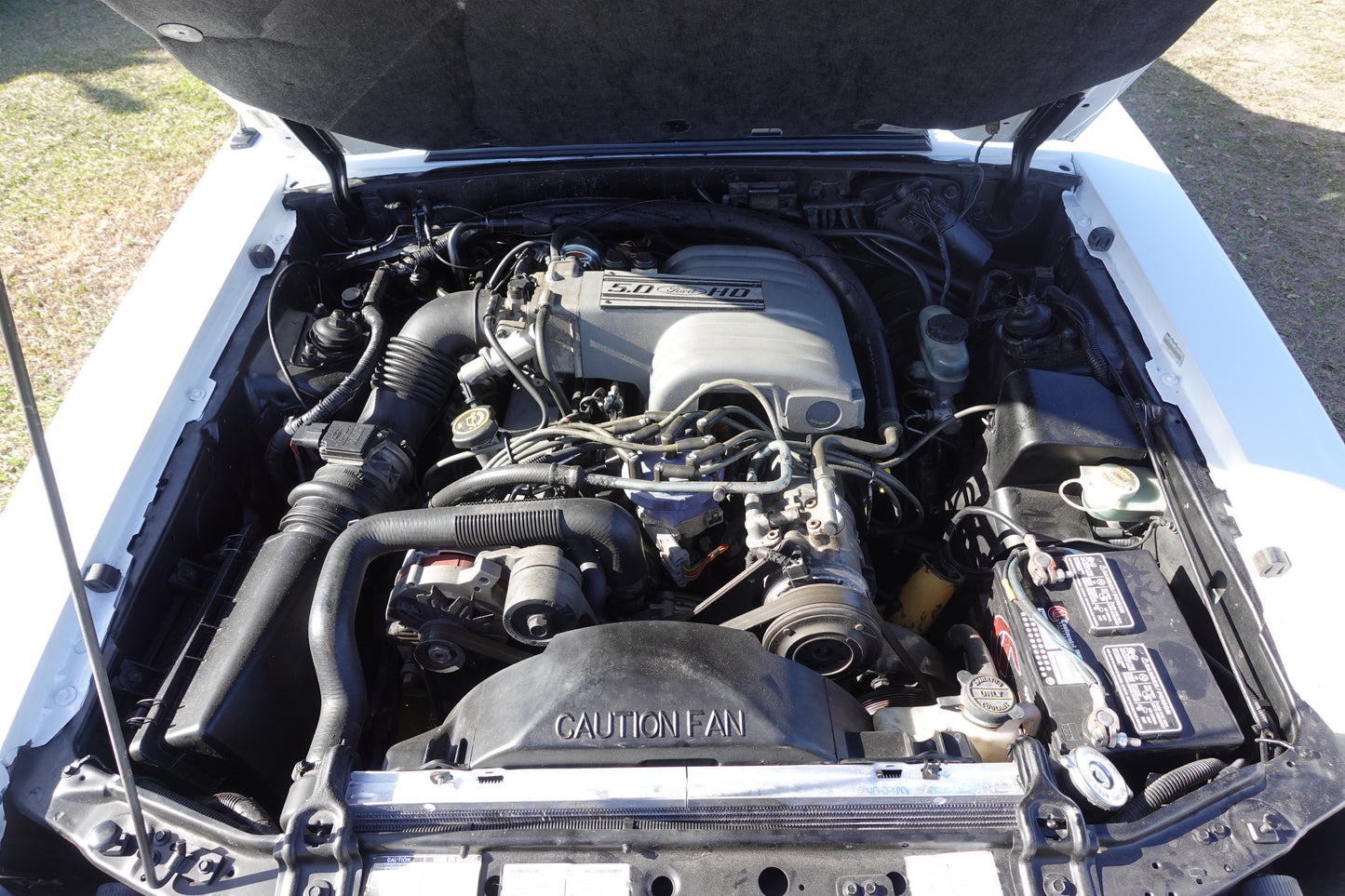 90 Foxbody Mustang Notchback