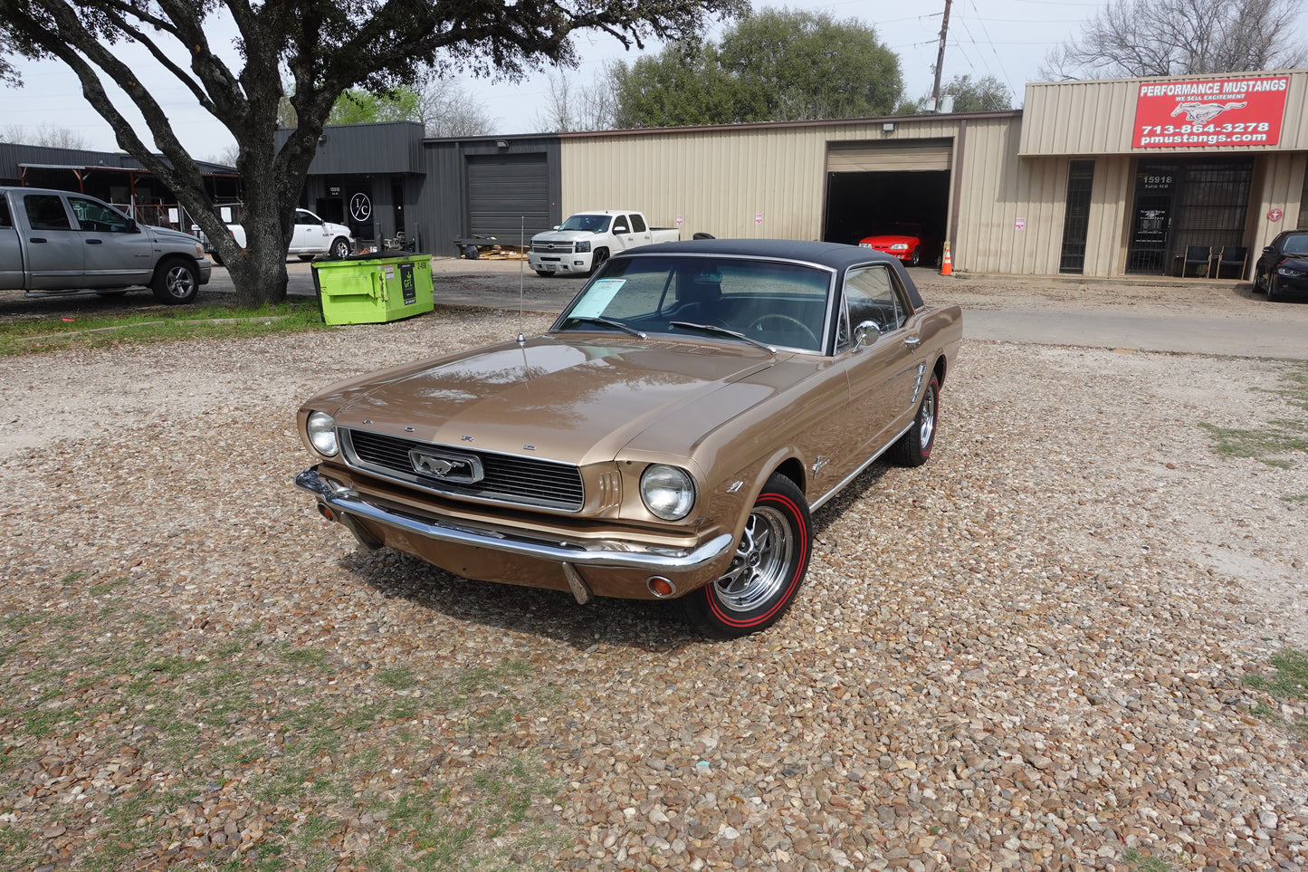 66 Mustang Coupe Bronze