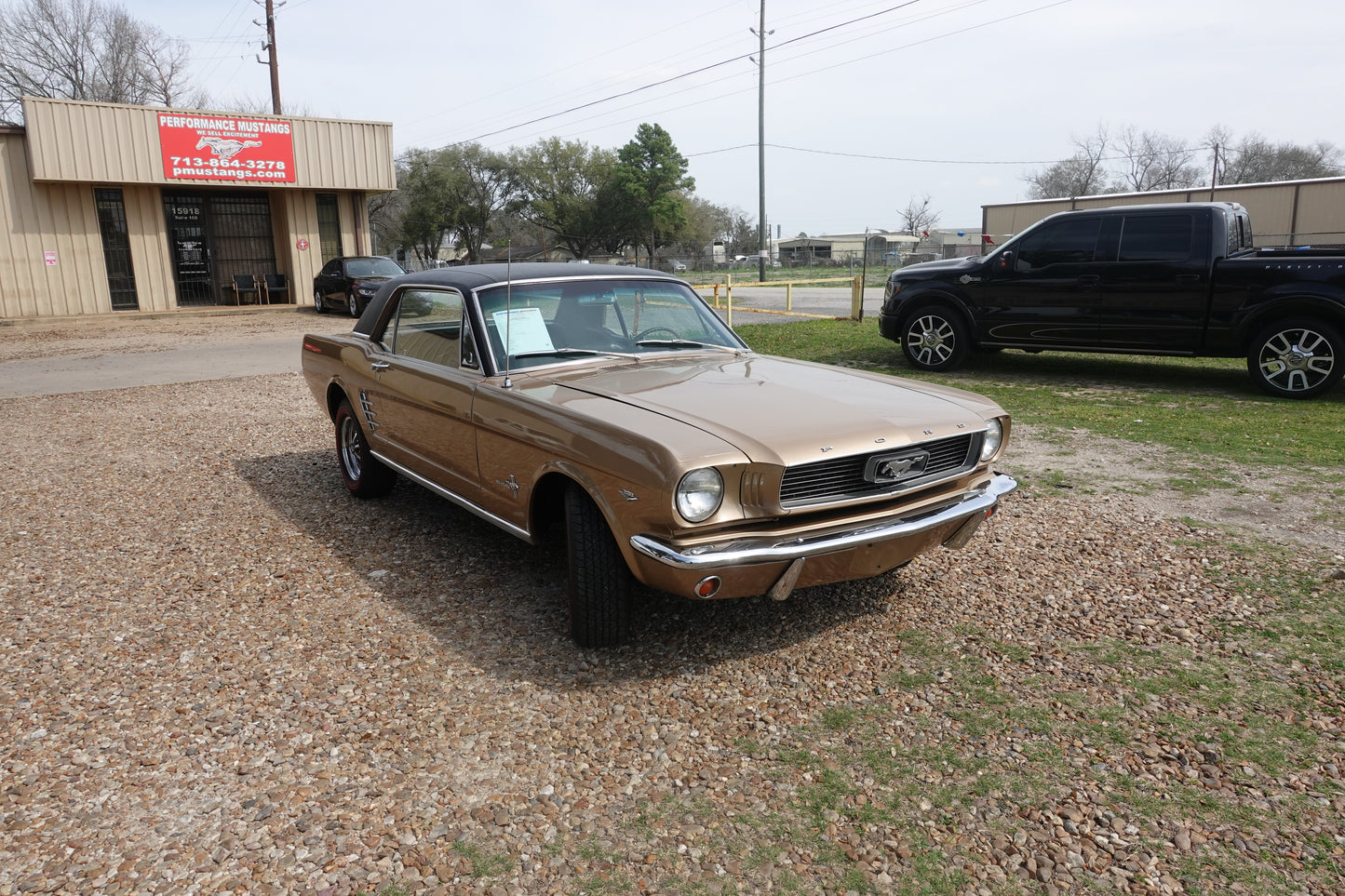 66 Mustang Coupe Bronze