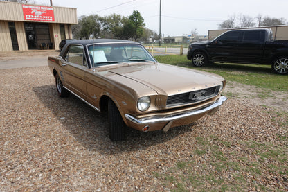 66 Mustang Coupe Bronze