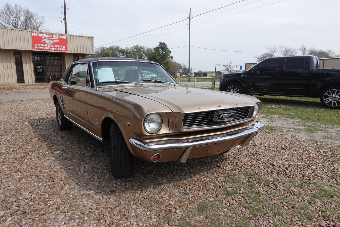 66 Mustang Coupe Bronze