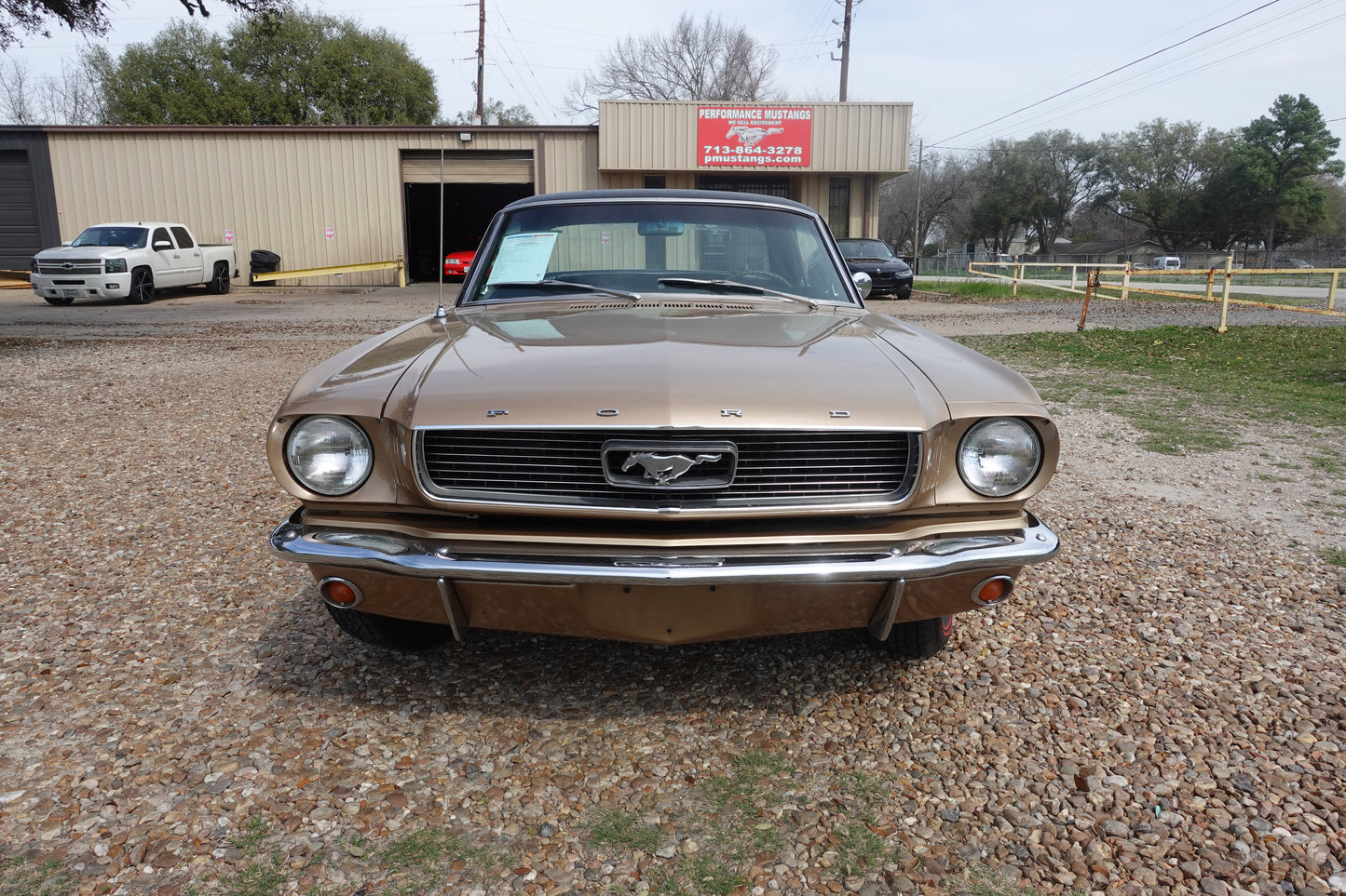 66 Mustang Coupe Bronze