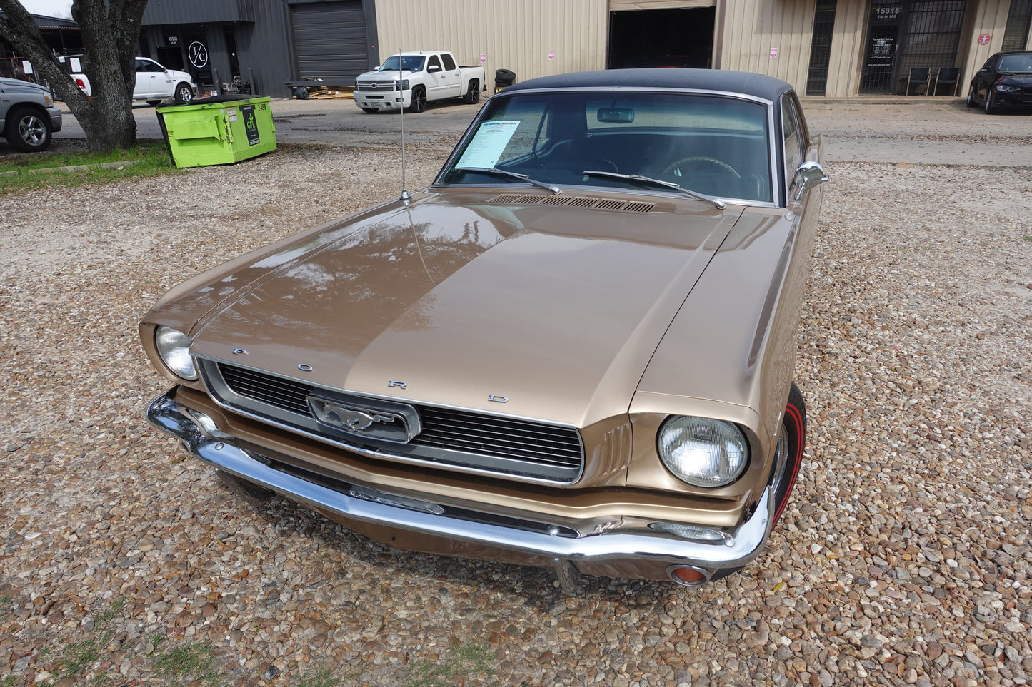 66 Mustang Coupe Bronze