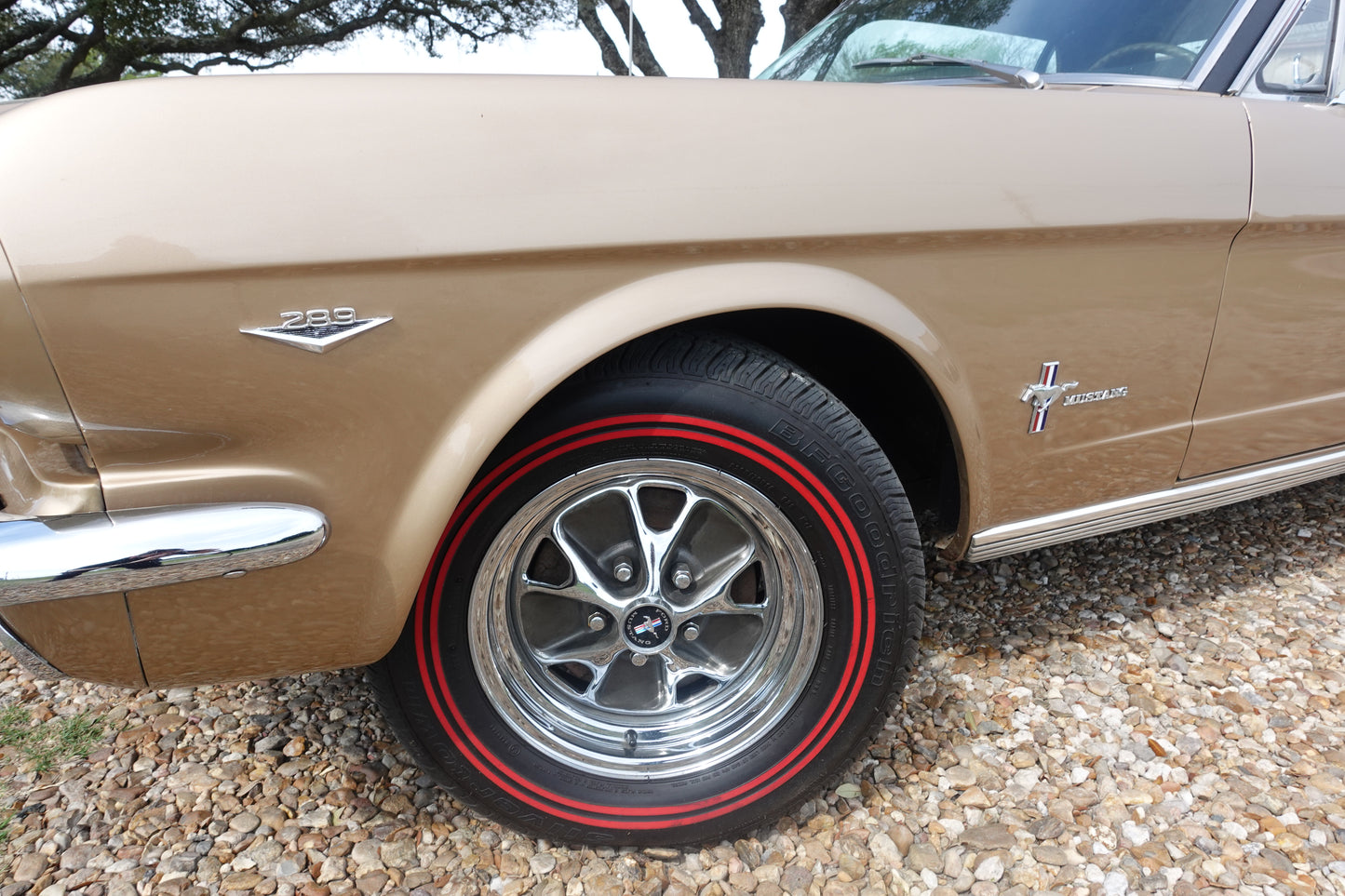 66 Mustang Coupe Bronze