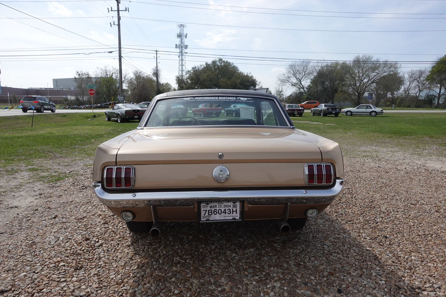 66 Mustang Coupe Bronze