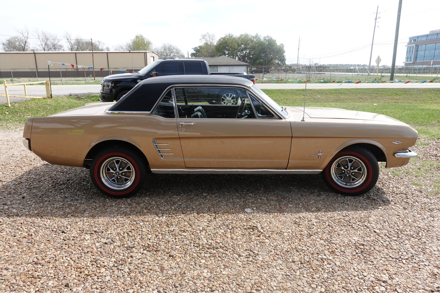 66 Mustang Coupe Bronze