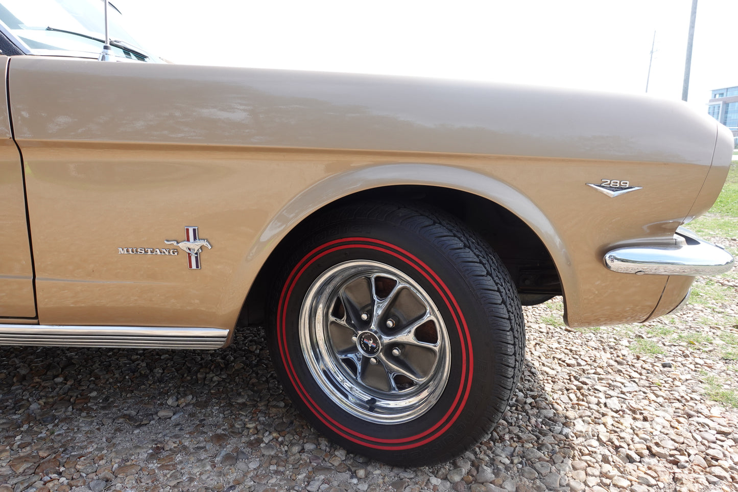 66 Mustang Coupe Bronze