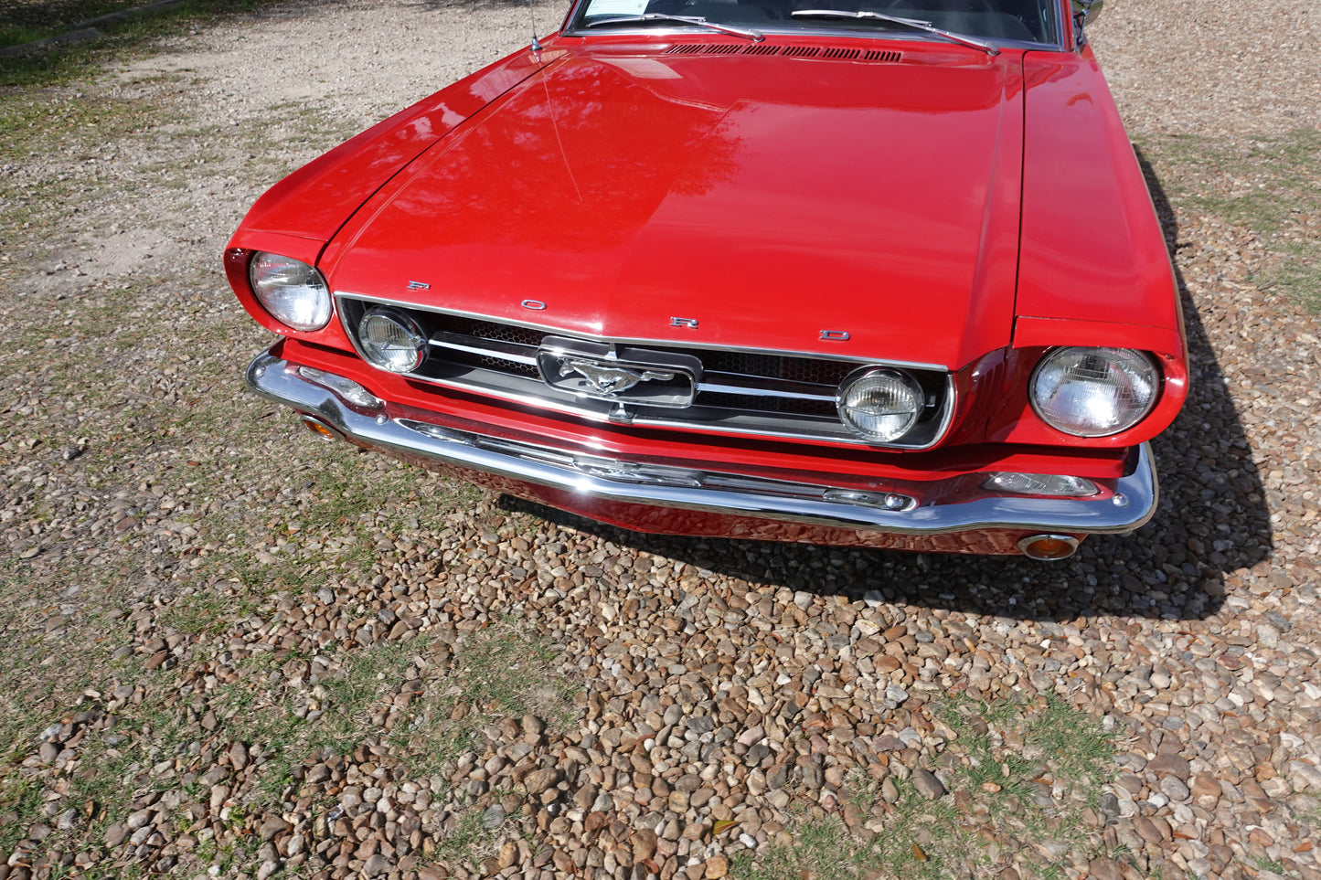 65 Mustang Coupe Red