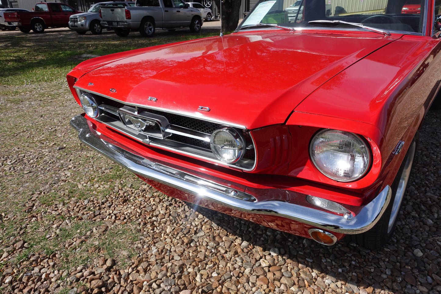 65 Mustang Coupe Red