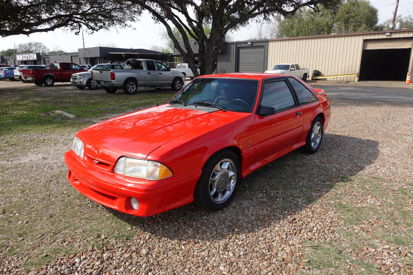 1993 Cobra Mustang 3/4 angle shot of car driver side.