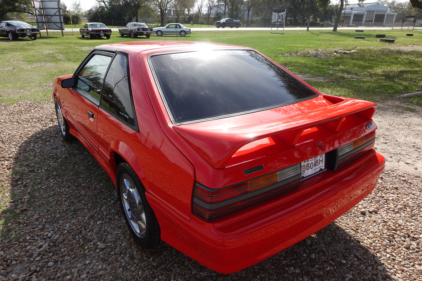 93 Mustang Cobra