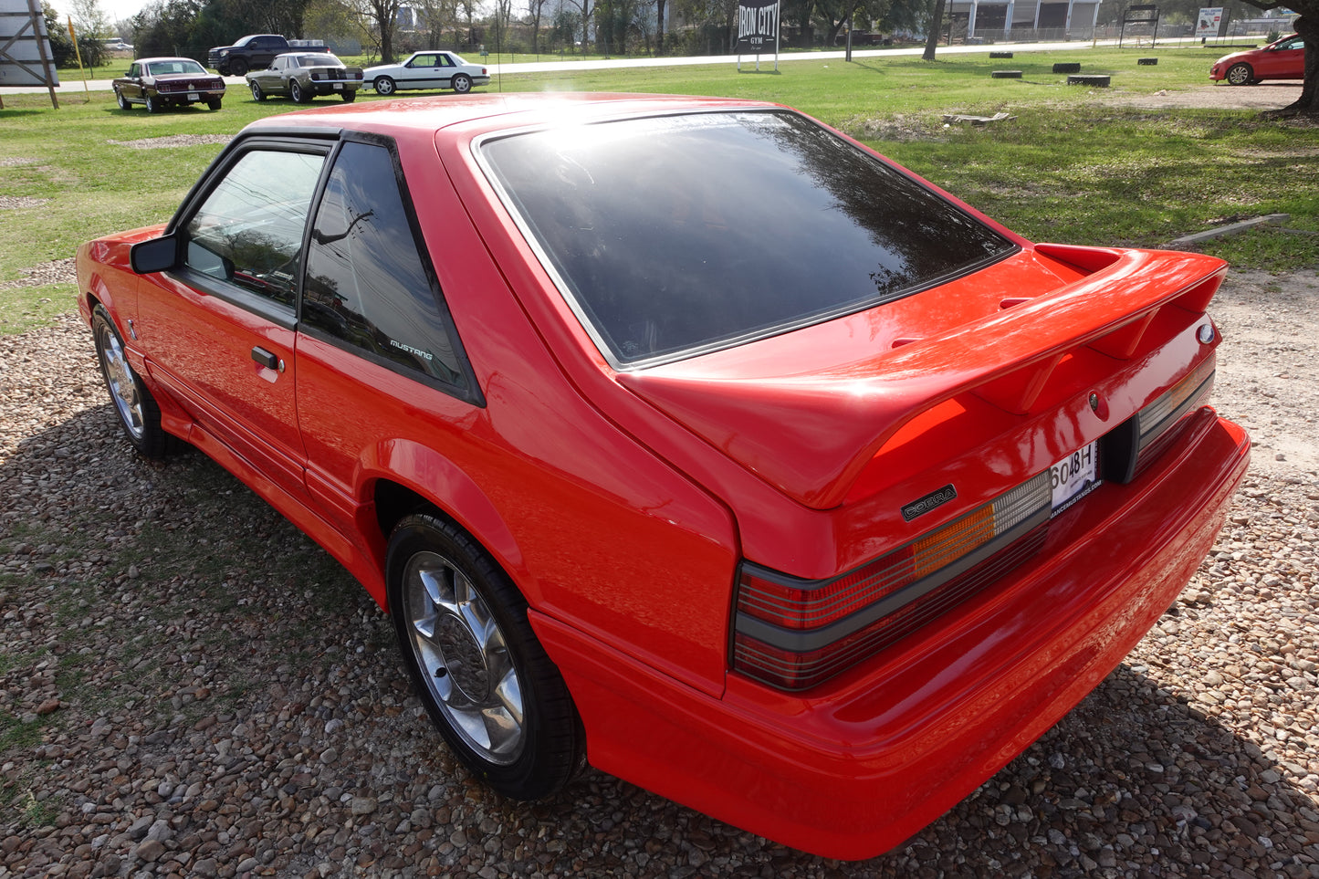 93 Mustang Cobra