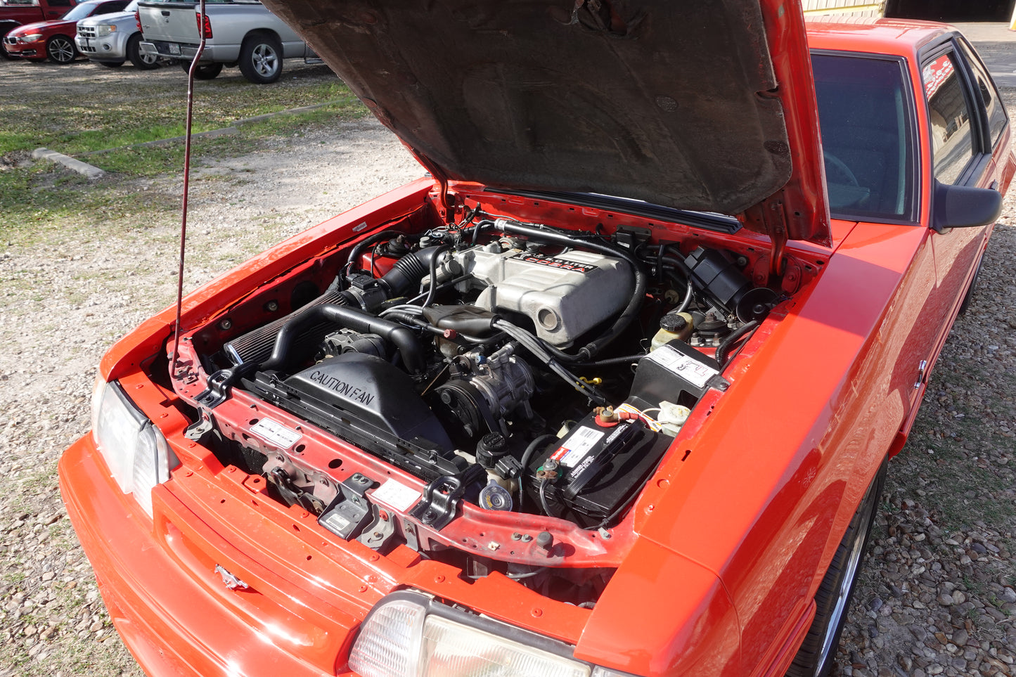 93 Mustang Cobra