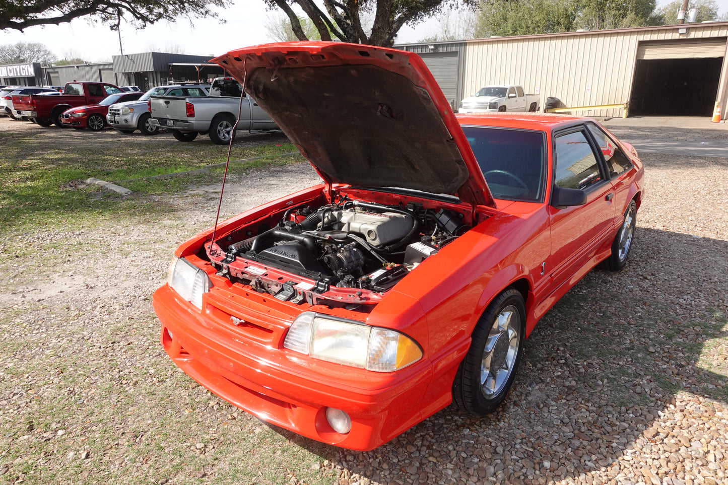 93 Mustang Cobra