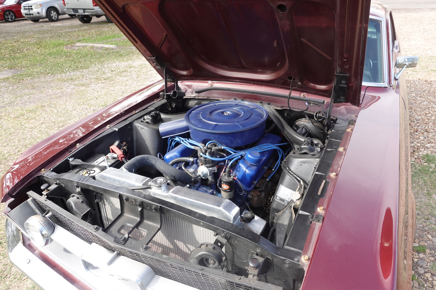 67 Mustang Burgundy