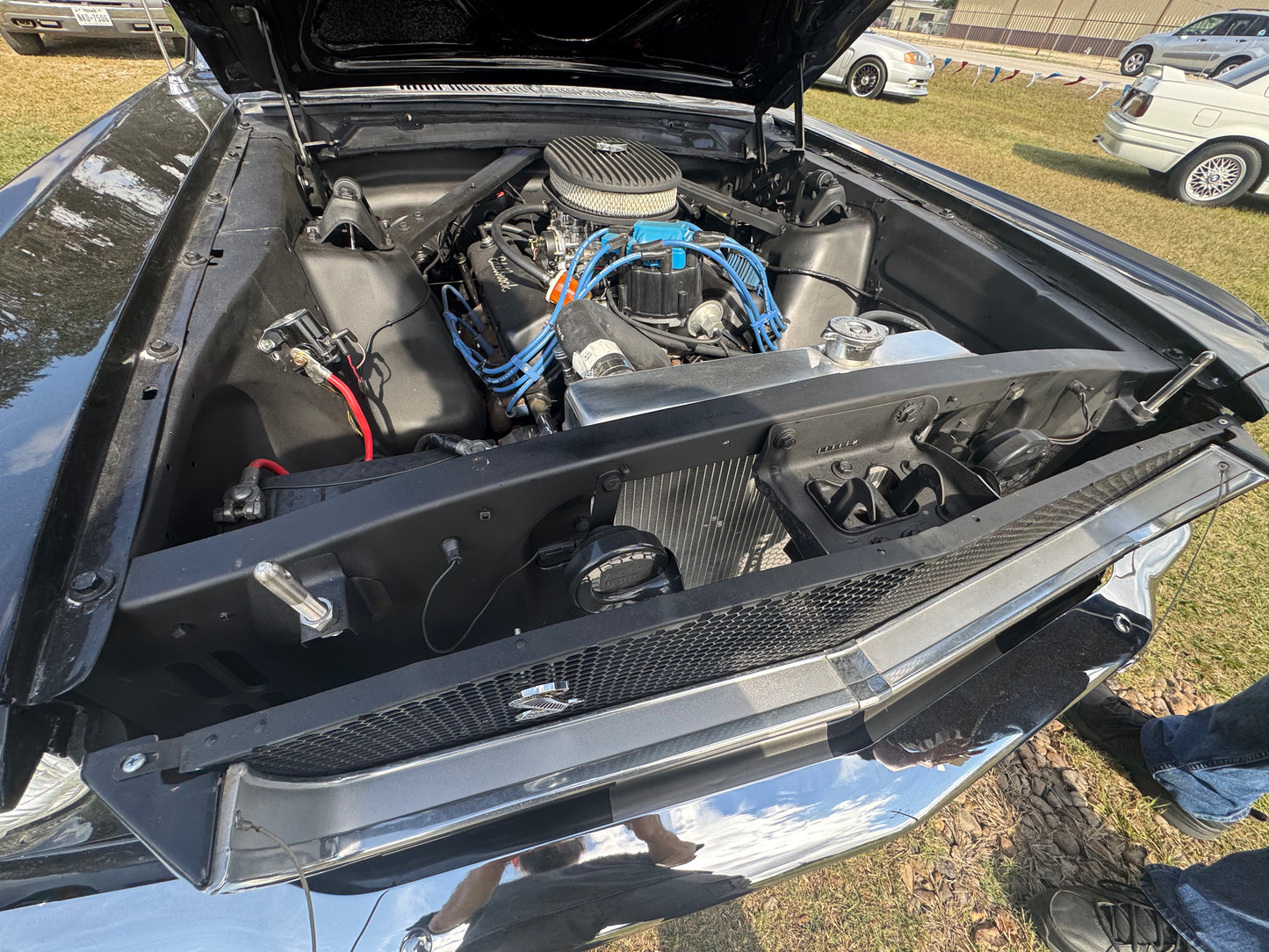 1965 Mustang Black Gray Stripes