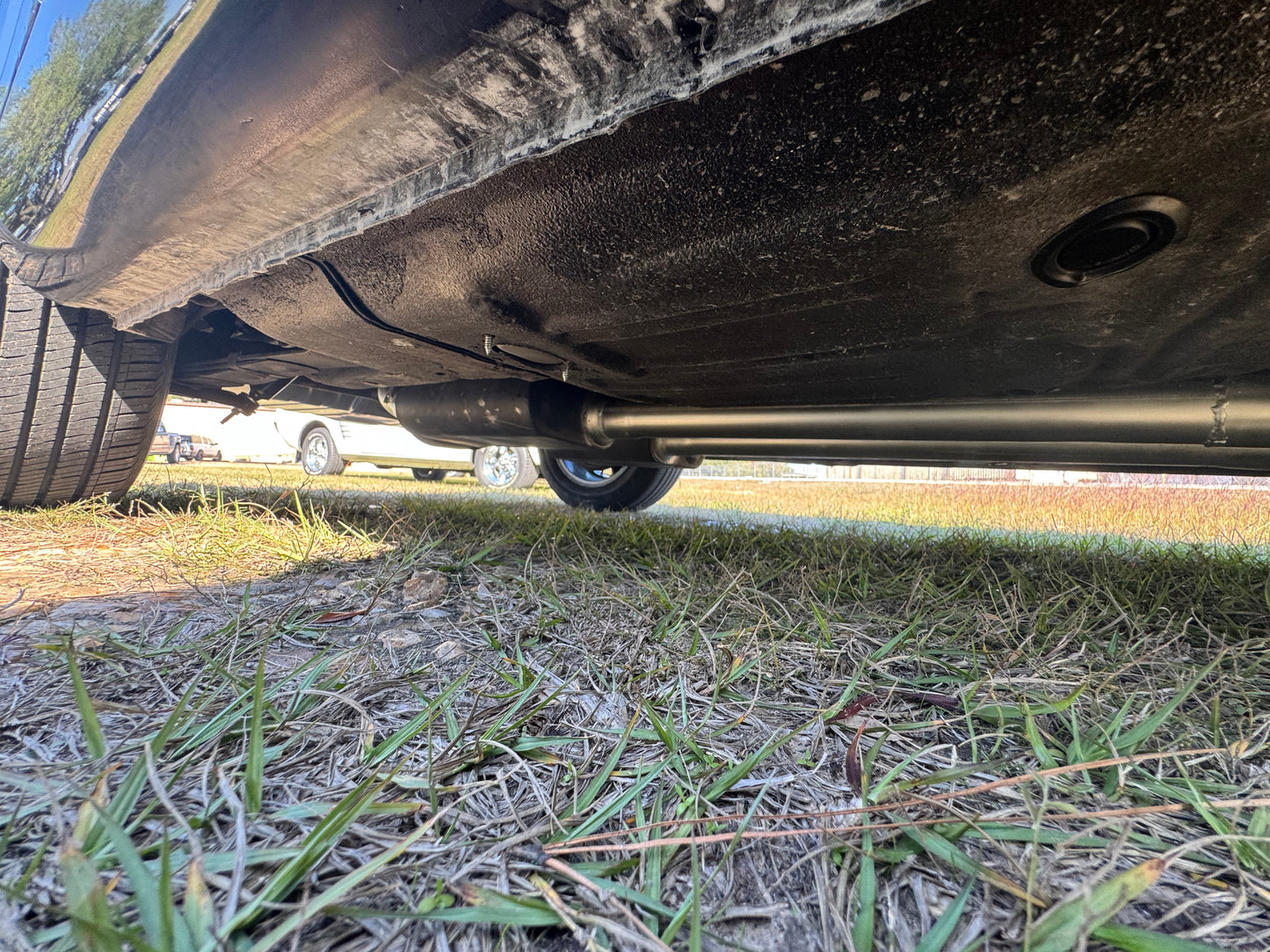 1965 Mustang Black Gray Stripes