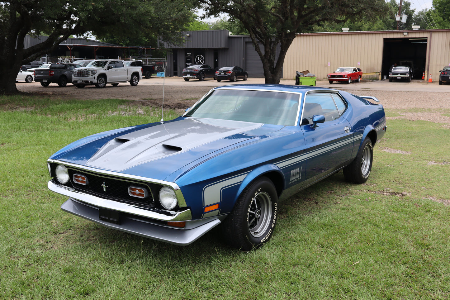 1971 Mustang Blue