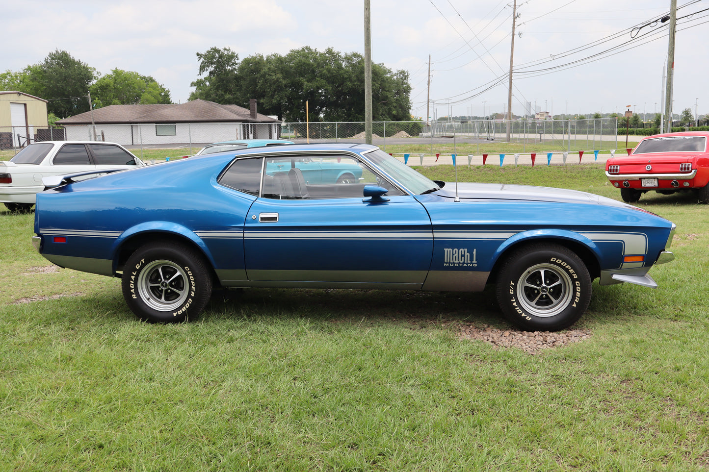 1971 Mustang Blue