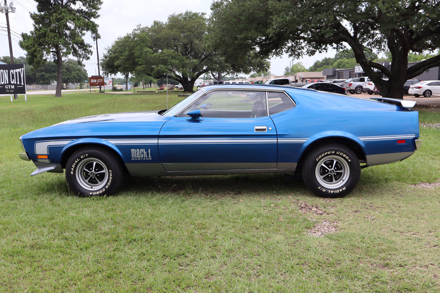 1971 Mustang Blue