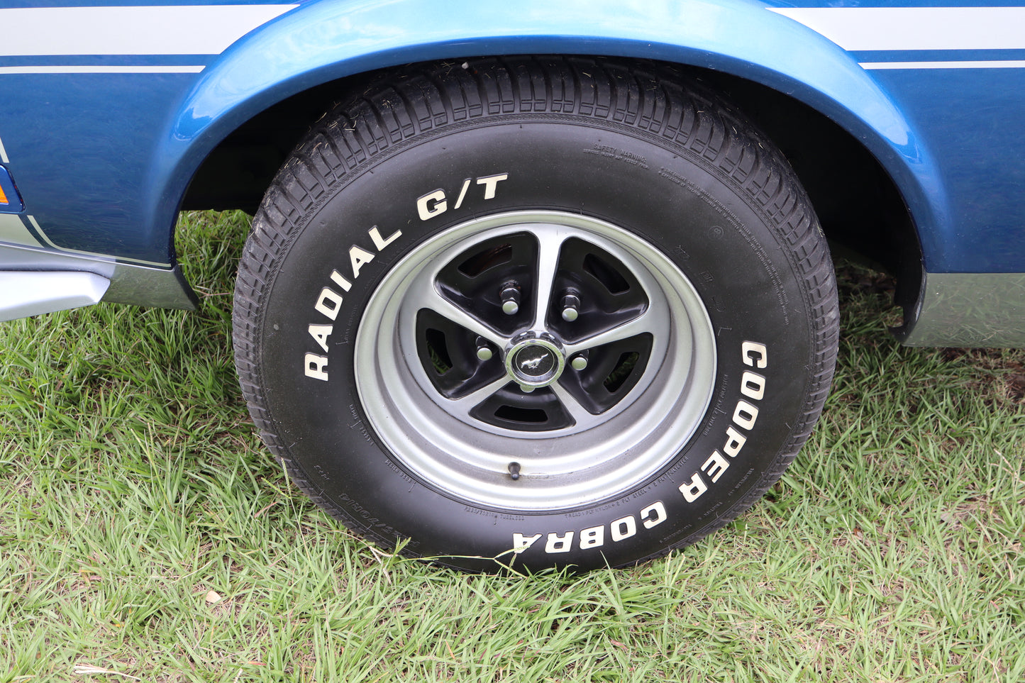1971 Mustang Blue
