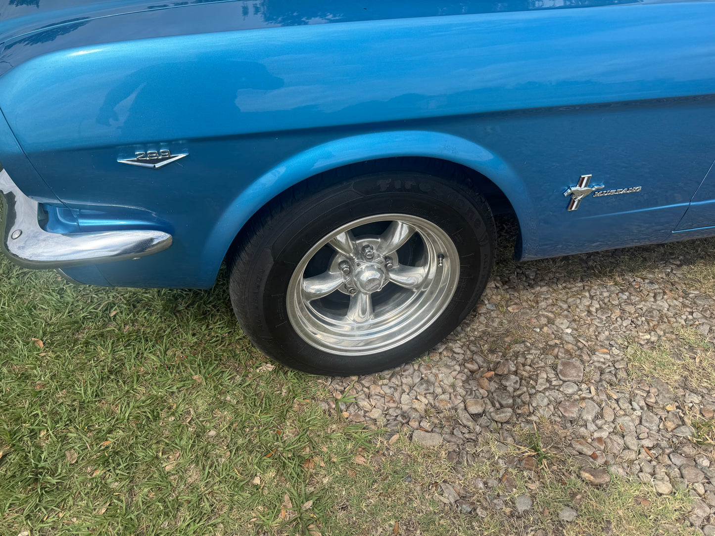 1965 Mustang Coupe Blue