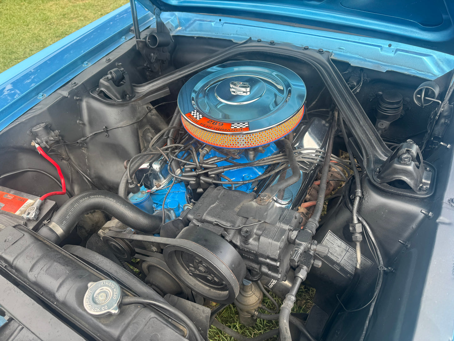 1965 Mustang Coupe Blue