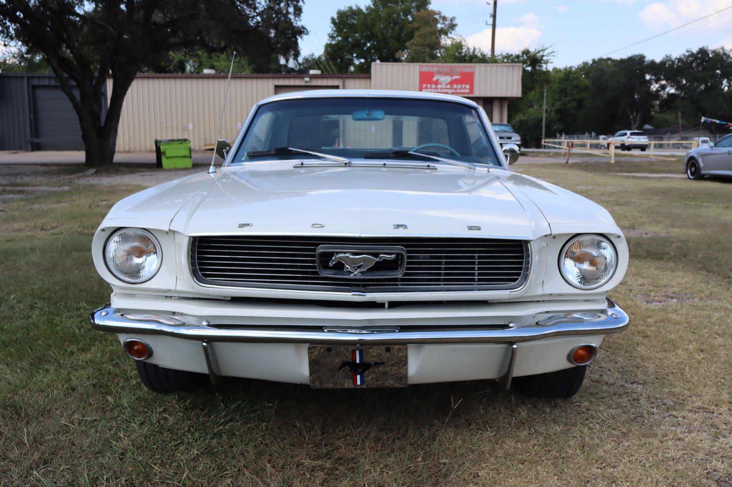 1966 Mustang Coupe White
