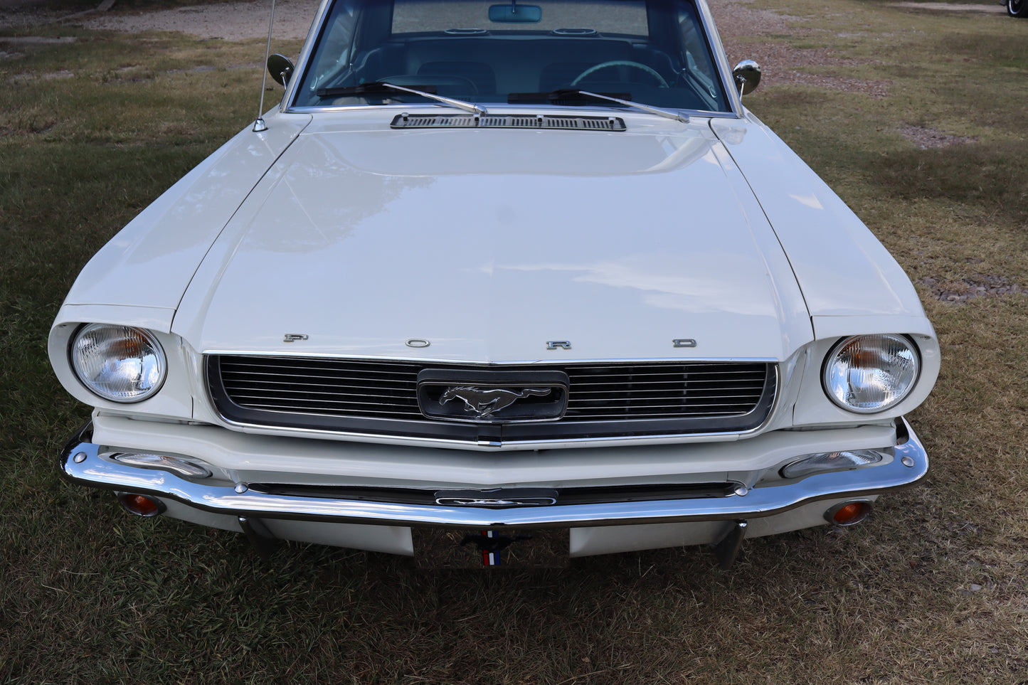 1966 Mustang Coupe White
