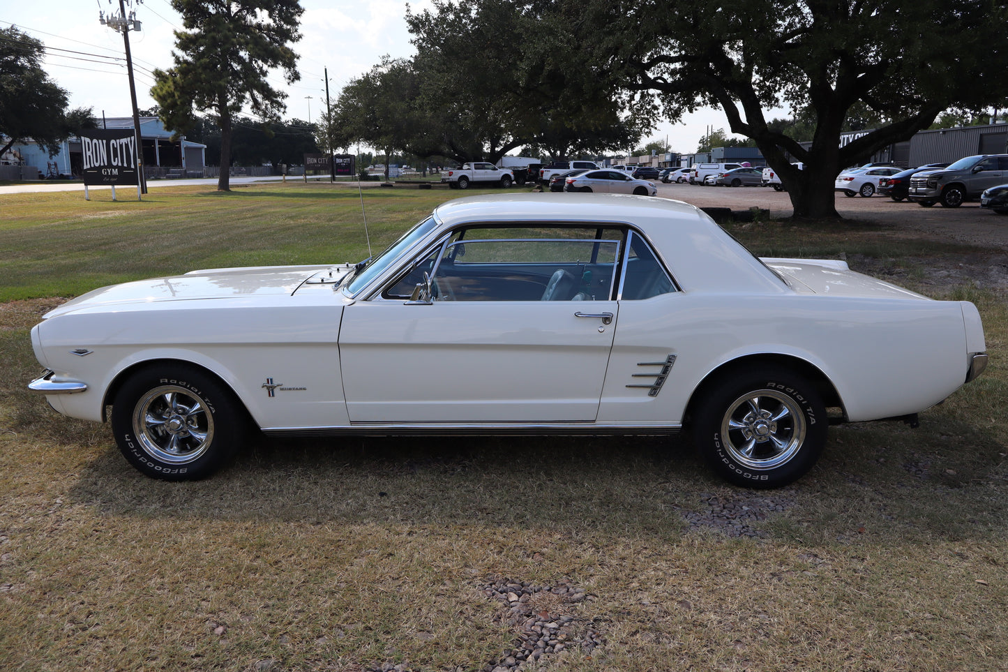 1966 Mustang Coupe White