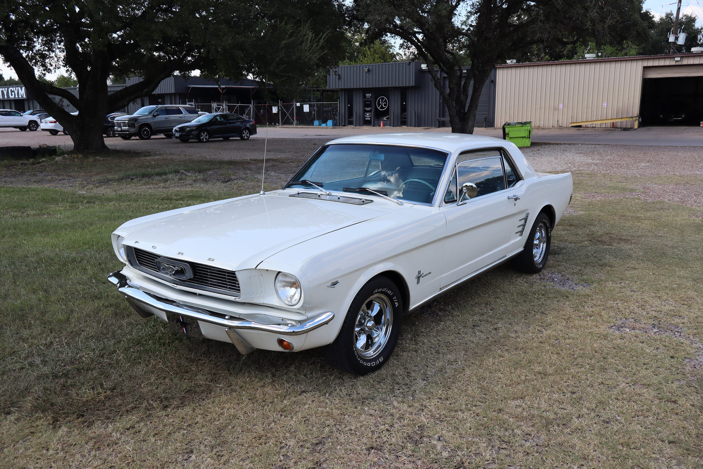 1966 Mustang Coupe White