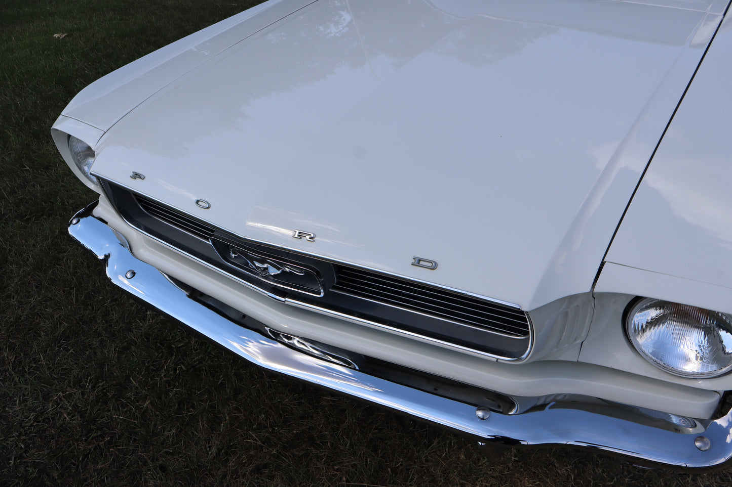 1966 Mustang Coupe White
