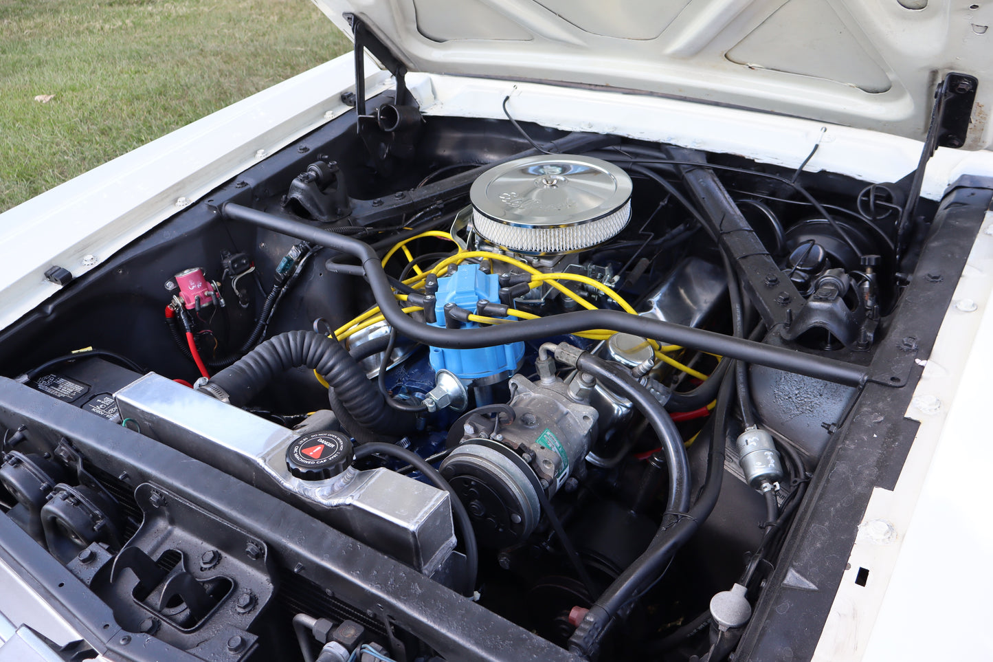 1966 Mustang Coupe White