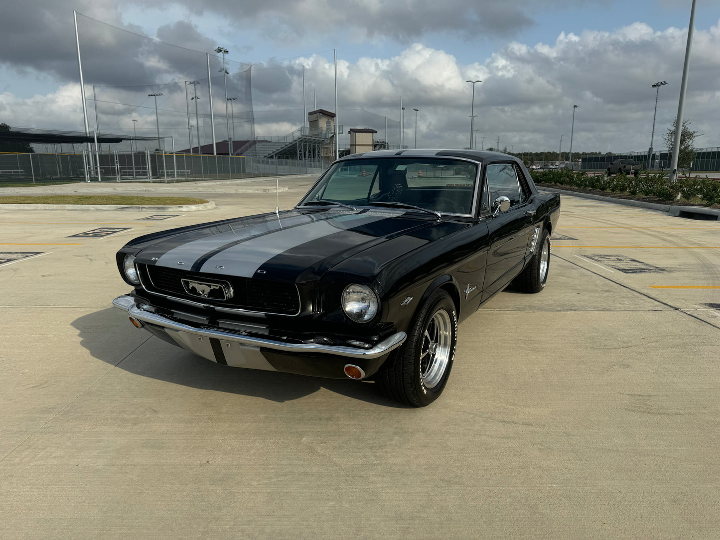 1966 Mustang Coupe Black w/ Grey Stripes