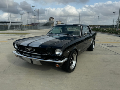 1966 Mustang Coupe Black w/ Grey Stripes