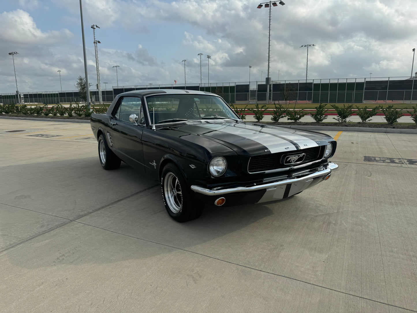 1966 Mustang Coupe Black w/ Grey Stripes