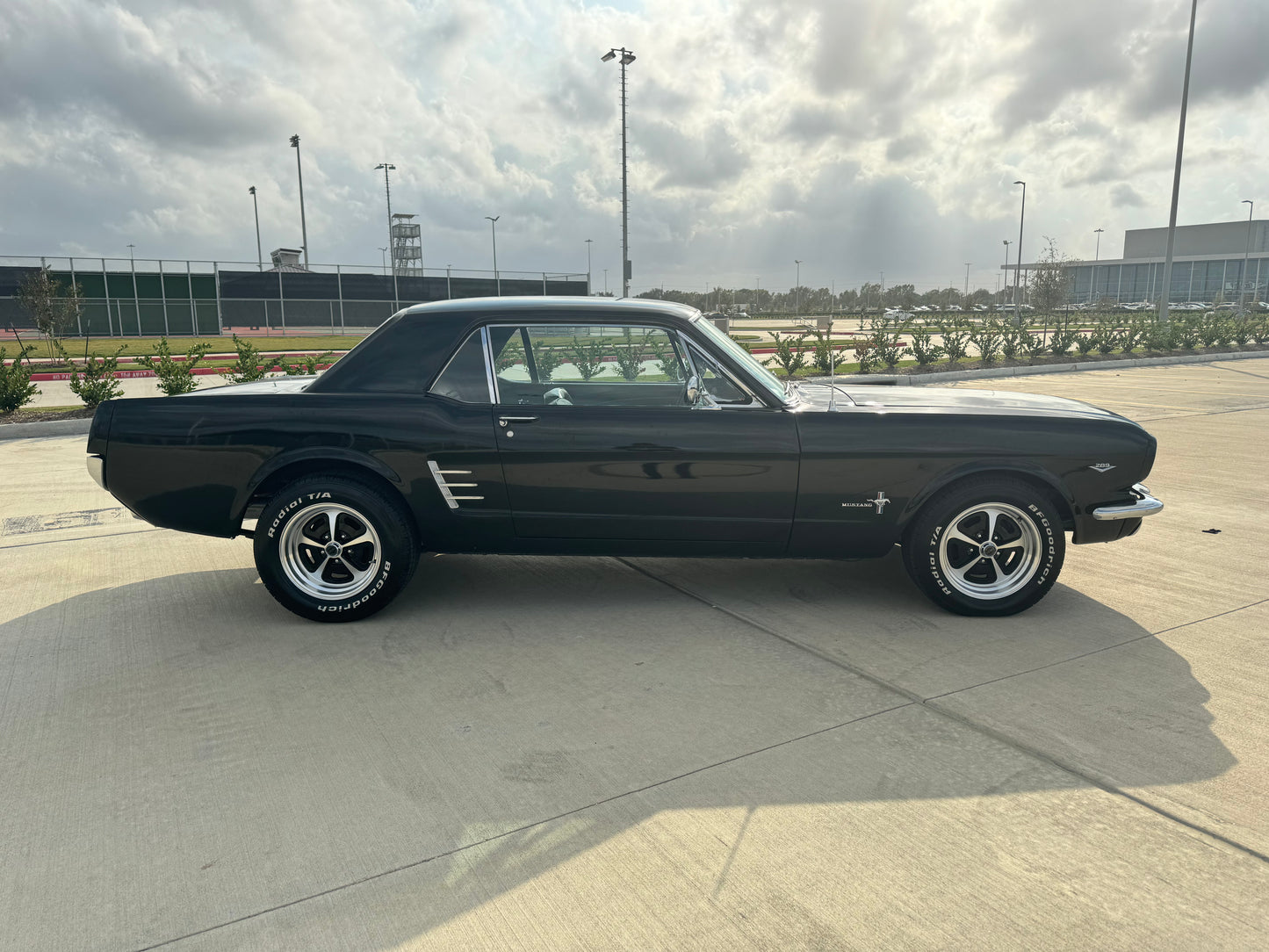 1966 Mustang Coupe Black w/ Grey Stripes