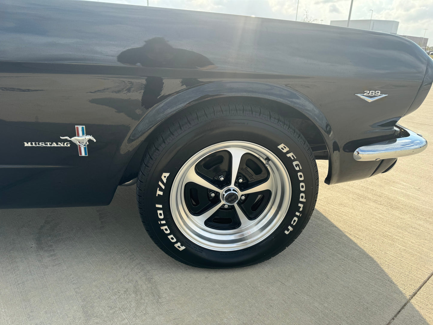 1966 Mustang Coupe Black w/ Grey Stripes