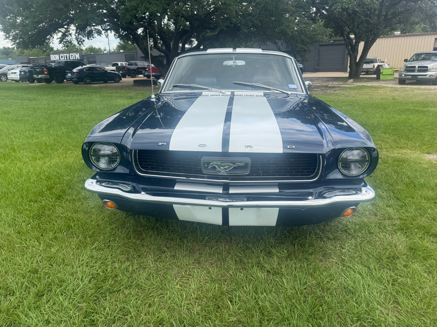 1966 Mustang Blue Coupe White Stripes