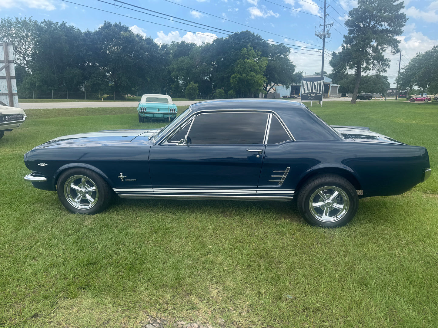 1966 Mustang Blue Coupe White Stripes