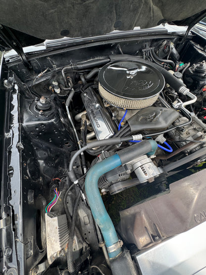 1989 Mustang Convertible