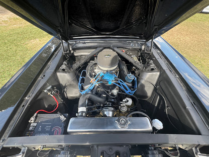 1965 Mustang Black Gray Stripes