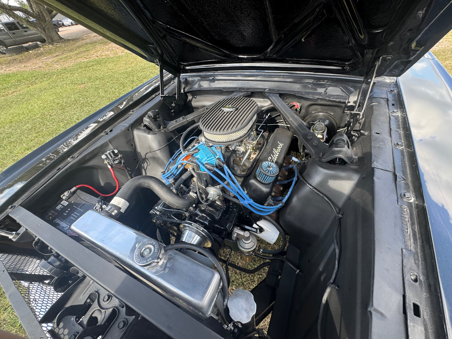1965 Mustang Black Gray Stripes