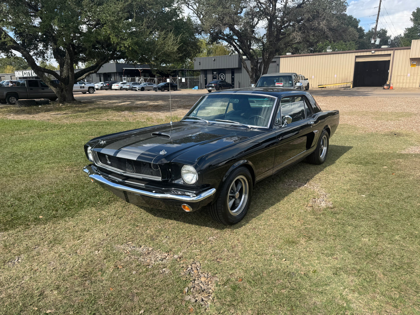 1965 Mustang Black Gray Stripes