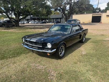 1965 Mustang Black Gray Stripes