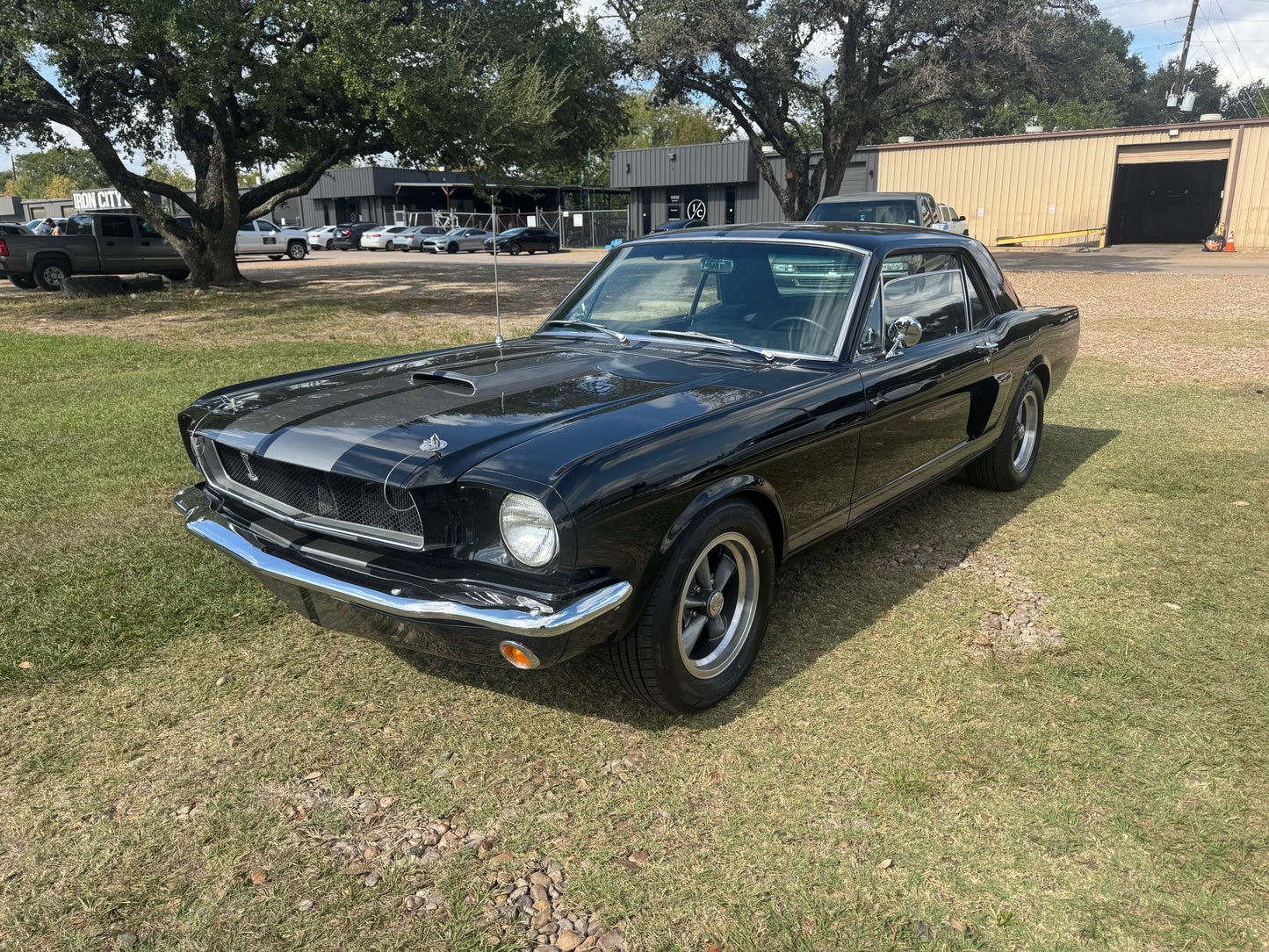1965 Mustang Black Gray Stripes