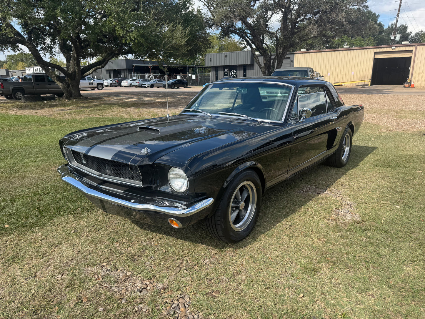 1965 Mustang Black Gray Stripes