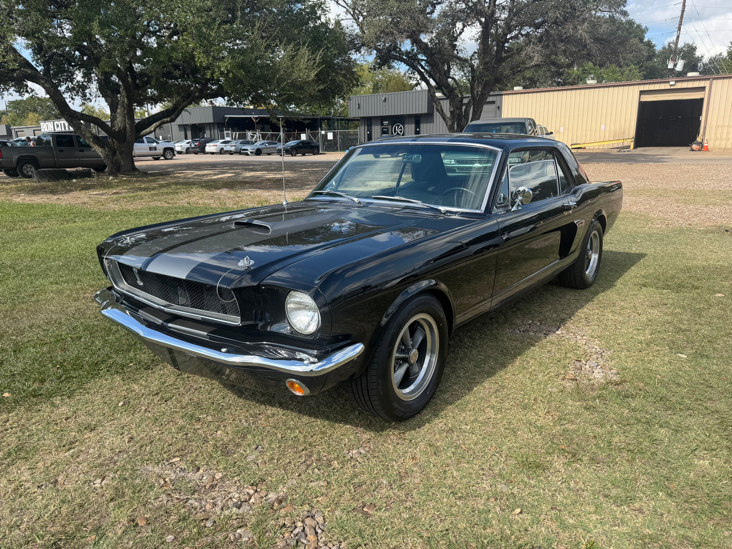 1965 Mustang Black Gray Stripes