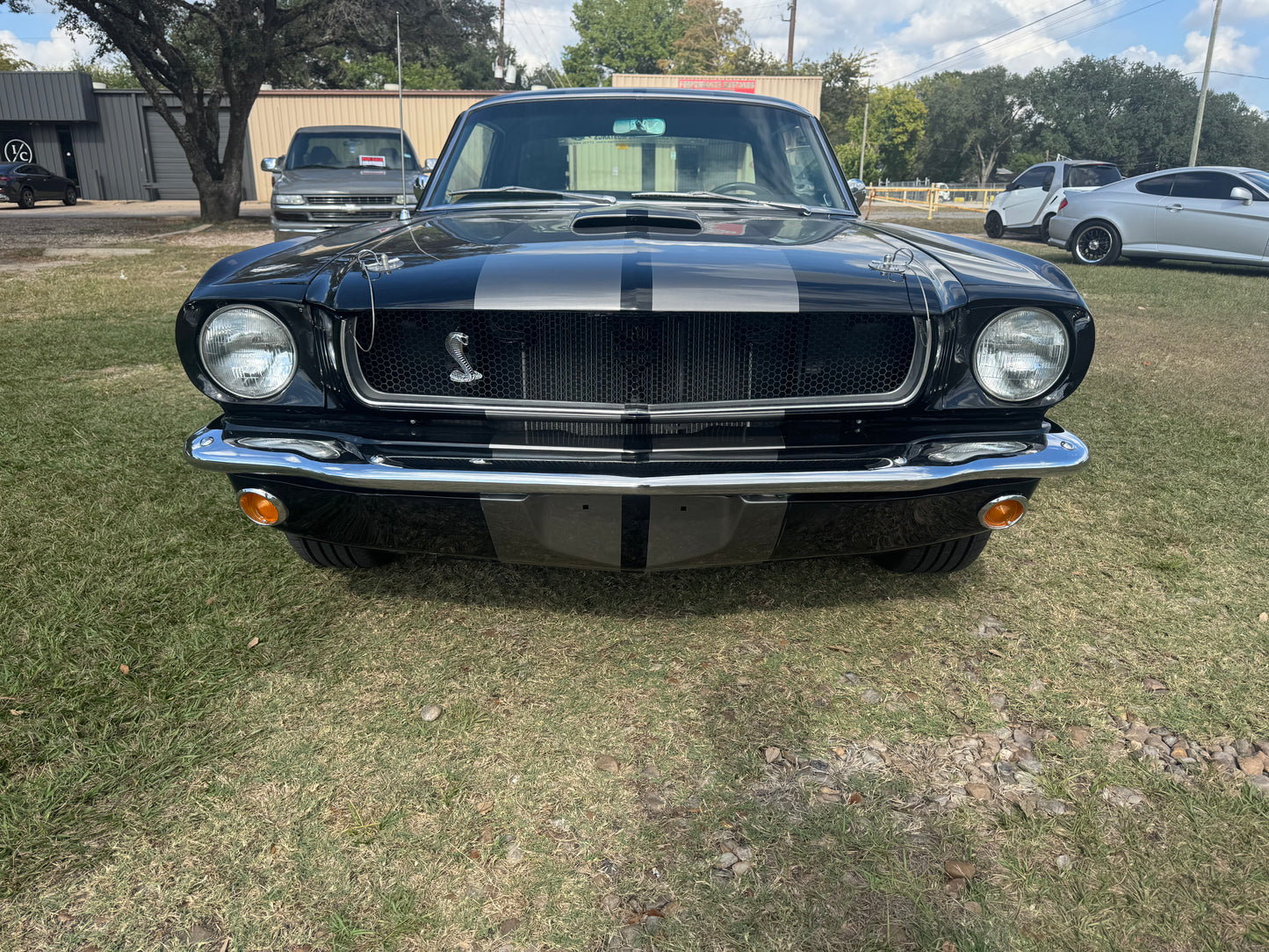 1965 Mustang Black Gray Stripes