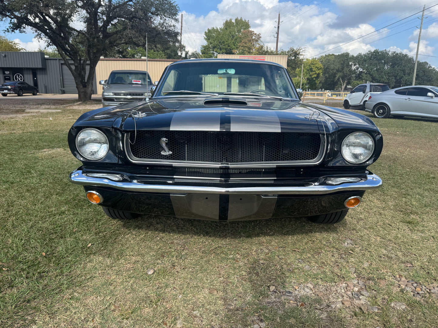 1965 Mustang Black Gray Stripes
